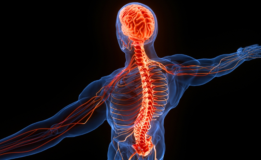 Tulsa Chiropractic Associates Benefits